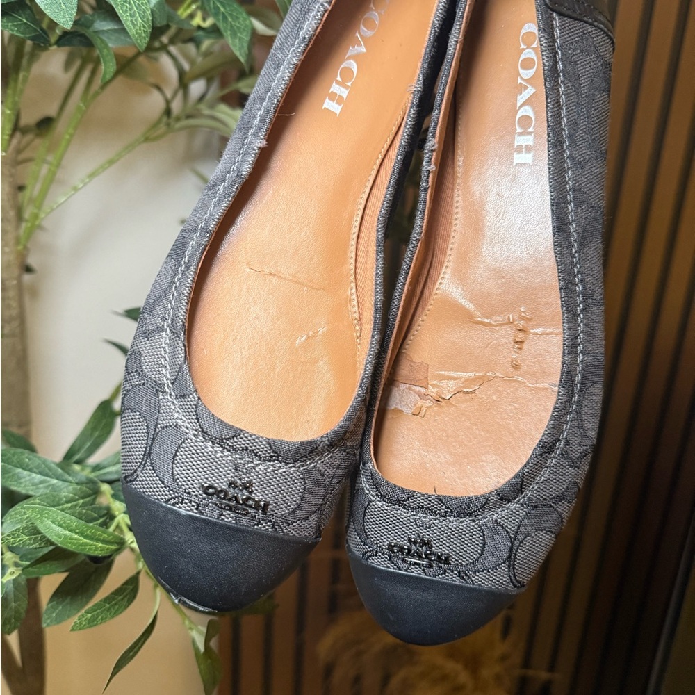 COACH Chelsea Black Smoke Signature Ballet Flats